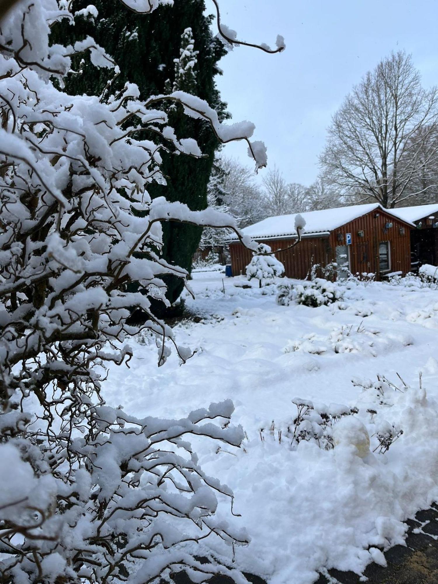 Pension Sander Hotel Bispingen Eksteriør billede