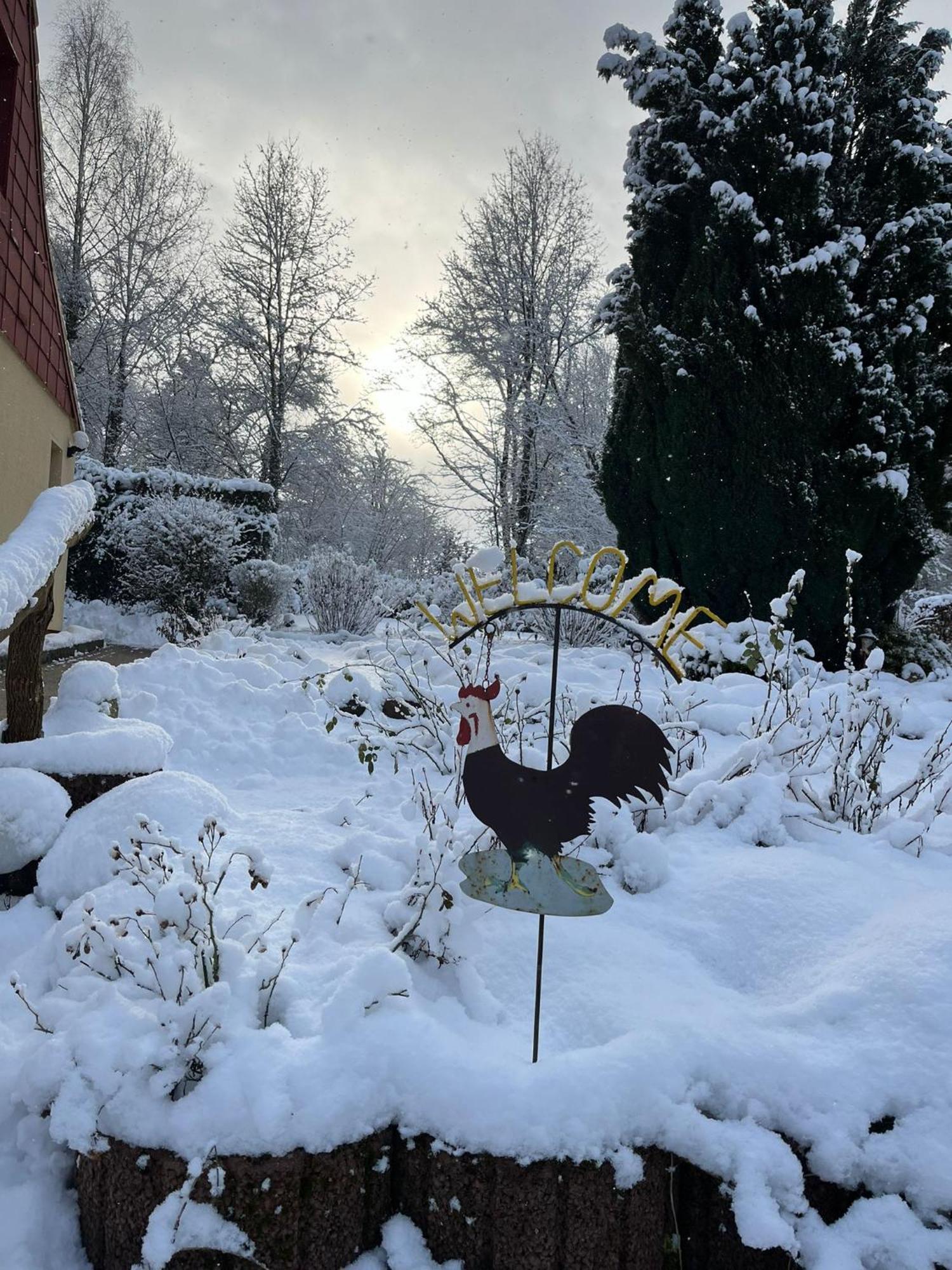 Pension Sander Hotel Bispingen Eksteriør billede